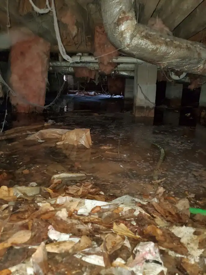 Crawl space flood assessment for Leak Detection & Repair in Clementon